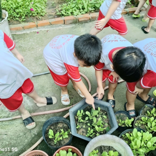 Trường Mầm Non Hoa Tầm Xuân