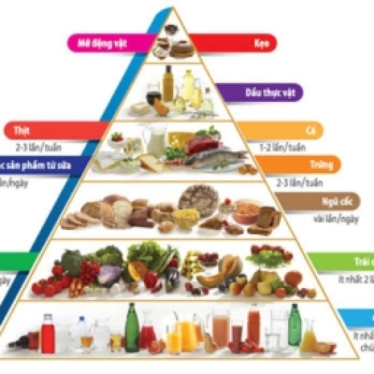 Trường Mầm Non Hoa Tầm Xuân