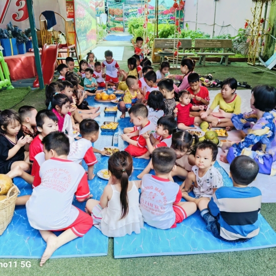 Trường Mầm Non Hoa Tầm Xuân